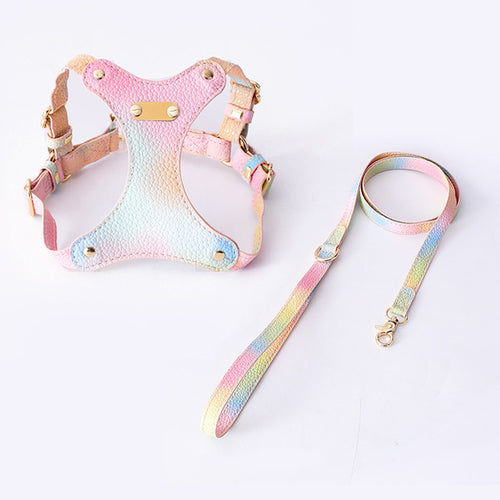 Adjustable Waterproof Leather Pet Harness for Small Dogs