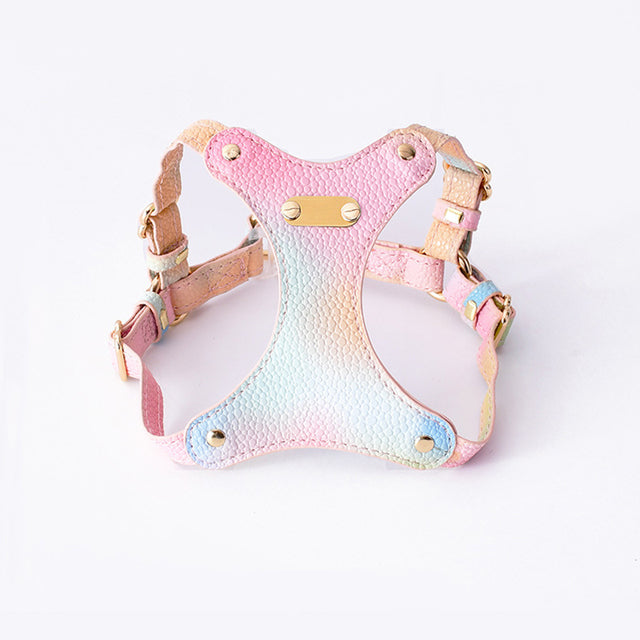Adjustable Waterproof Leather Pet Harness for Small Dogs