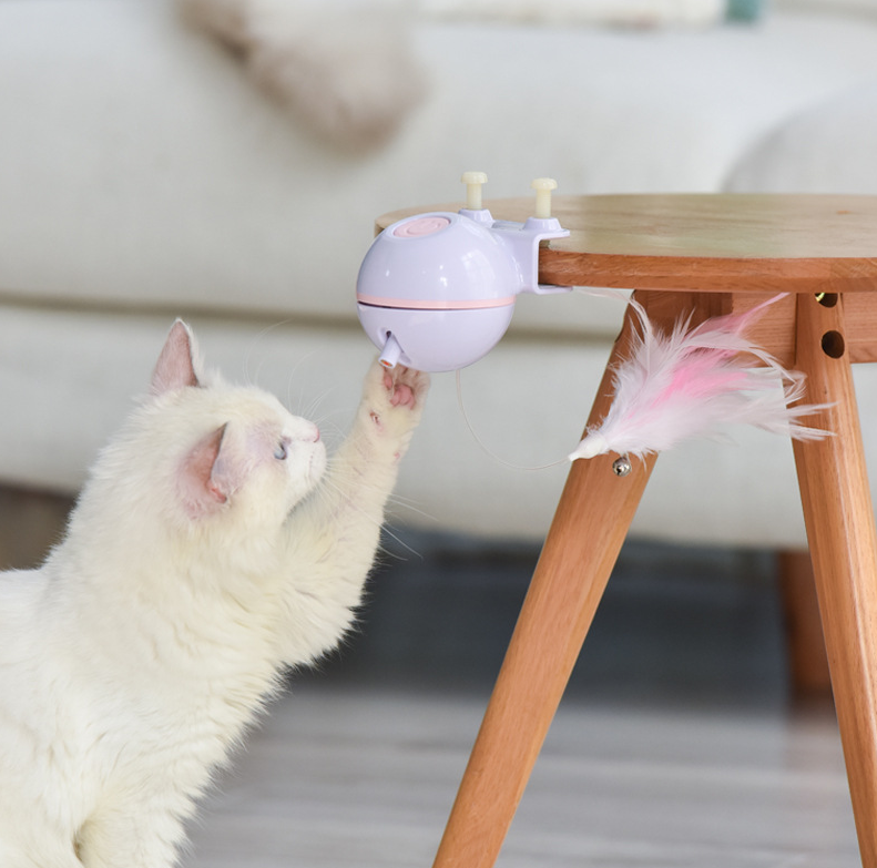 Pet Toy Ball with USB Electric Teaser Wand (Replaceable)